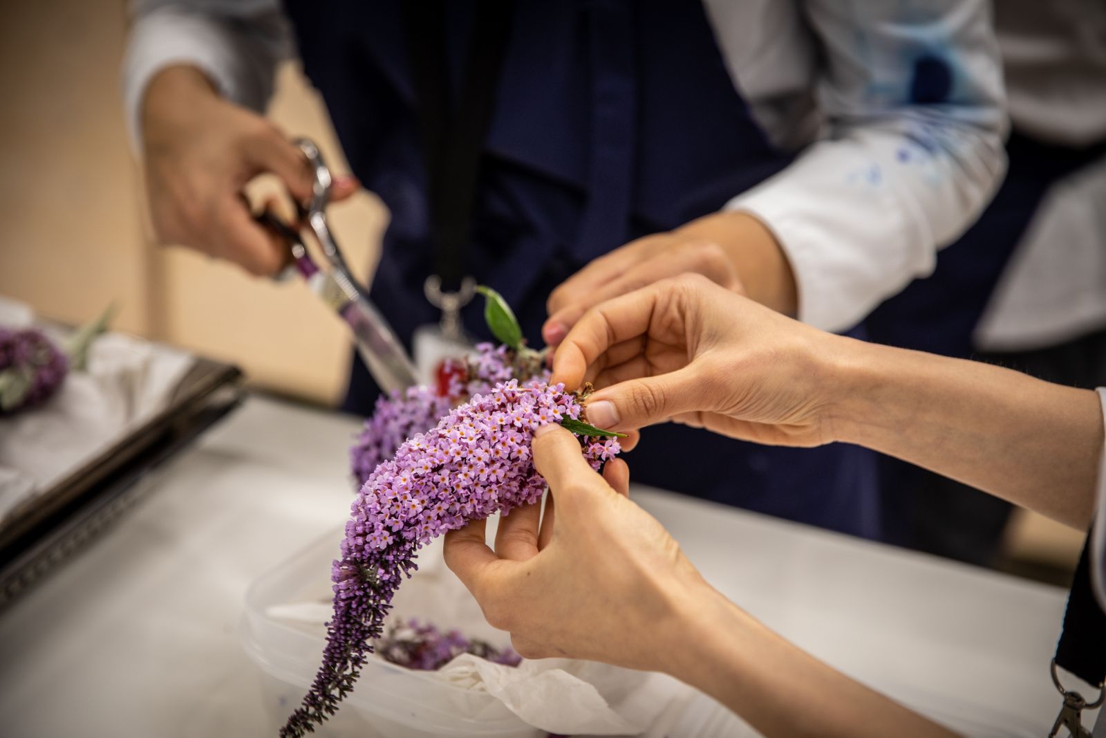 Dos personas manipulando una planta en el laboratotio