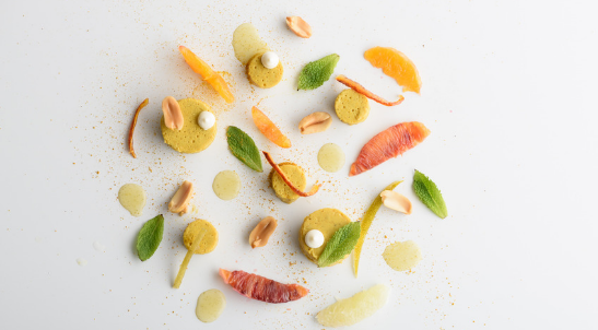 Abangoardiako sukaldaritza-teknikak Online Ikastaroa