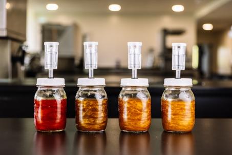 Iniciación a las fermentaciones