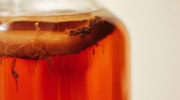 (Testing) Fermentations