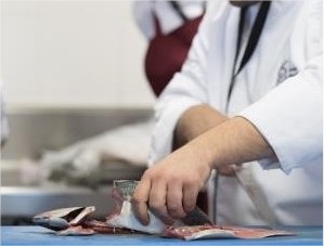 (Testing) Conviértete en chef - Avanzado