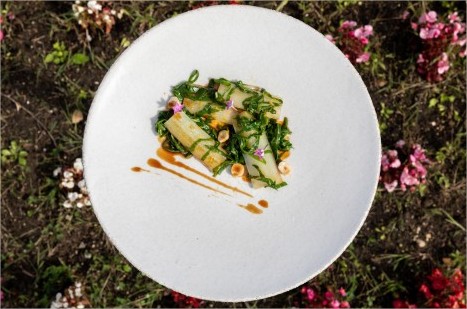 Vegetales en el centro del plato: técnicas reveladoras